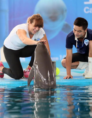 球队可在后 球队可在后