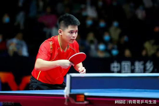 定性训练 定性训练