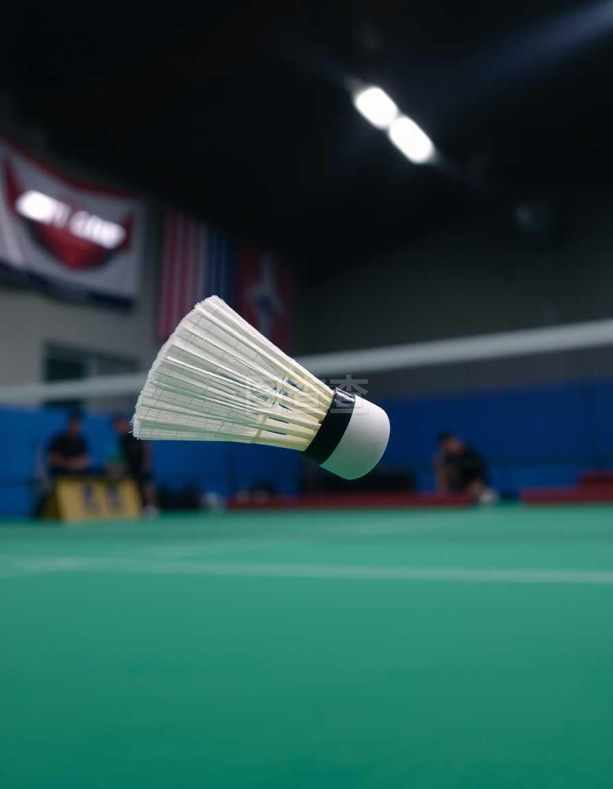 出可被复核 出可被复核